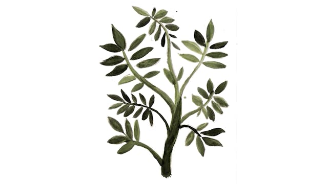 LINEA D'OMBRA 2022 - If_You_Meet_A_Coyote - LDO Marcello De Martino