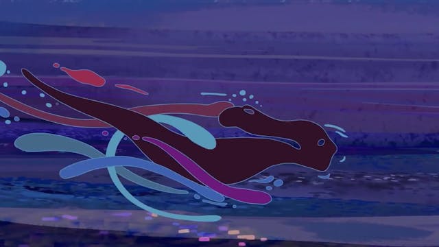 PIUCOMPAGNIA - Fiction internazionale Chiara Pinzauti