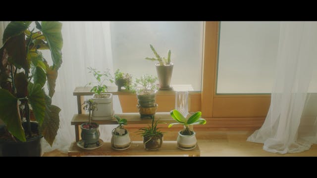 CAPRI HOLLYWOOD 2022 - Favor_H264_221003_Sub 선우 김