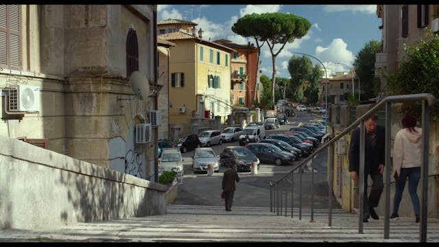 TRUECOLOURS - DNA sub eng