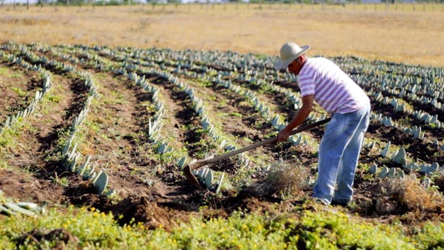 terraviva - Resilient Warriors_ONLINE_clean