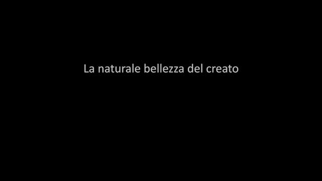 FUTURE FF 2022 corti - La naturale bellezza del creato