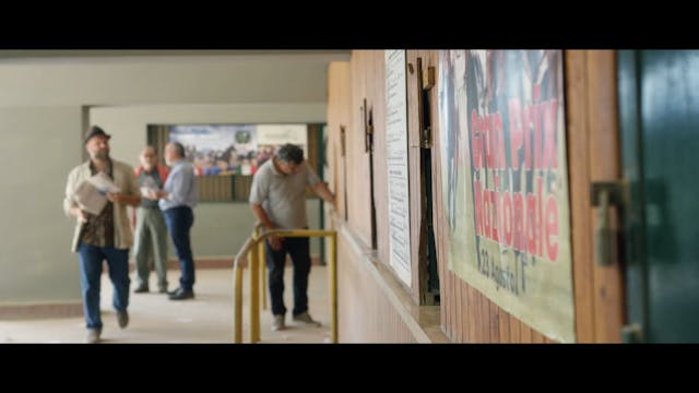 SHORTS LA BELLEZZA IMPERFETTA