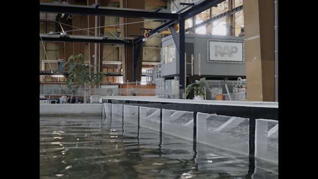 bergamo - they thought they saw a ghost 