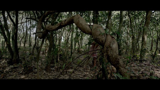 ASIATICA - Can Neither Be Here Nor Journey Beyond3-03-2020