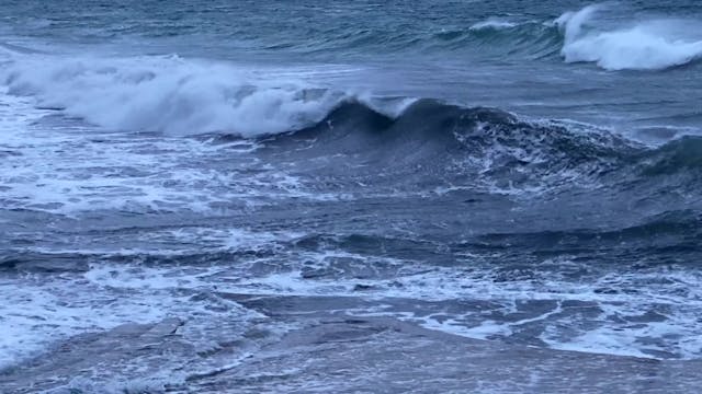 TSFF - HOMELANDS_(DOMOVINE)_DEF