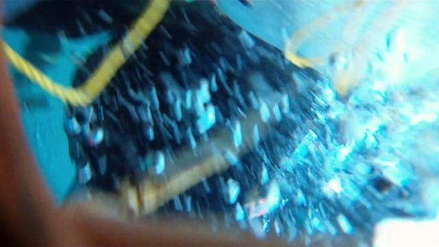 FILMMAKER - Purple Sea