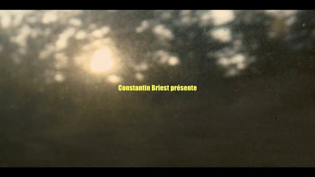 SHORTS 2021 - deux couillons (les)_two idots (the )