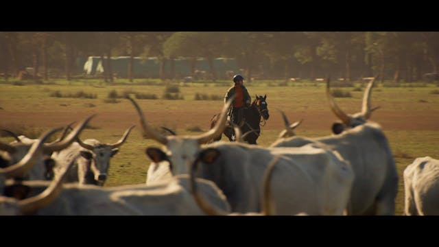 FILMING ITALY 2022 - DINNER_CLIP CONFERENZA STAMPA_20210817_12k