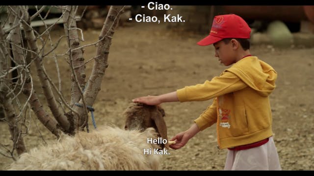 myreload - ALAN...(1)