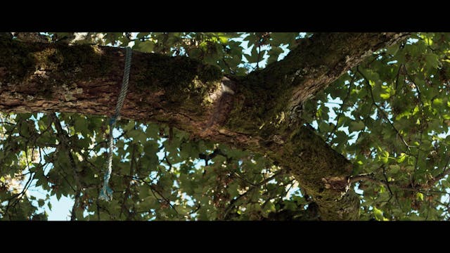 OFFICINE UBU - Edoardo Maimone - RITORNOinBORGOGNA_h246_1080p_24fps_20-ITA