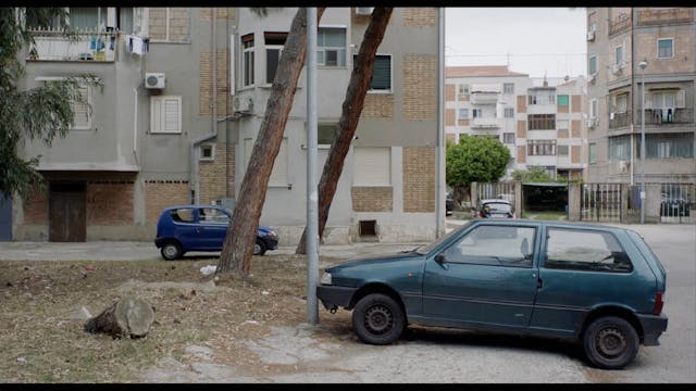 BIOGRAFILM - Parola d'onore