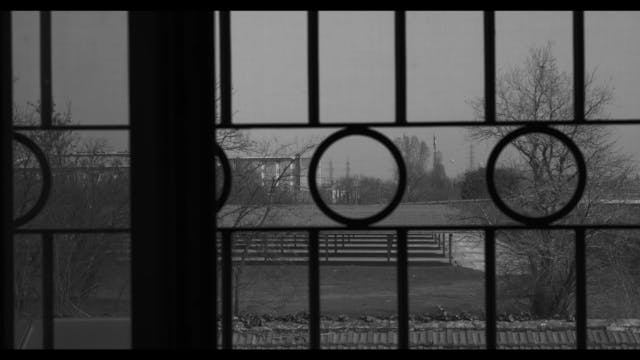 dissipatio tre loghi