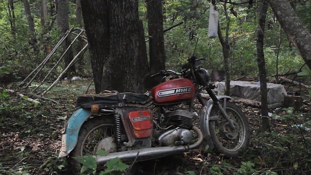 RIVIERA FILM FESTIVAL - Wood_OV-XX_51_HD_10mbit