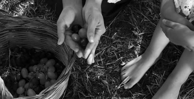 FUORINORMA - La Lupa