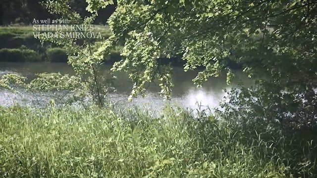 FUORINORMA - Plantain