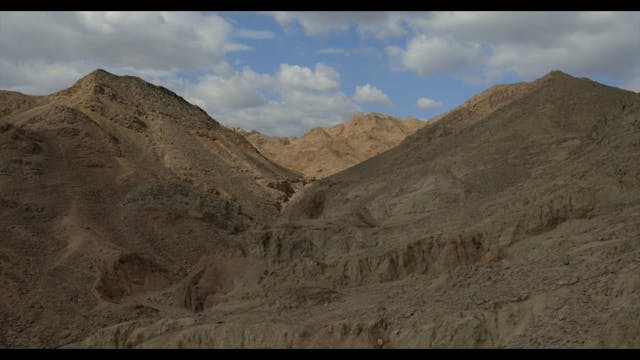 SCHERMO DELL'ARTE - Stray