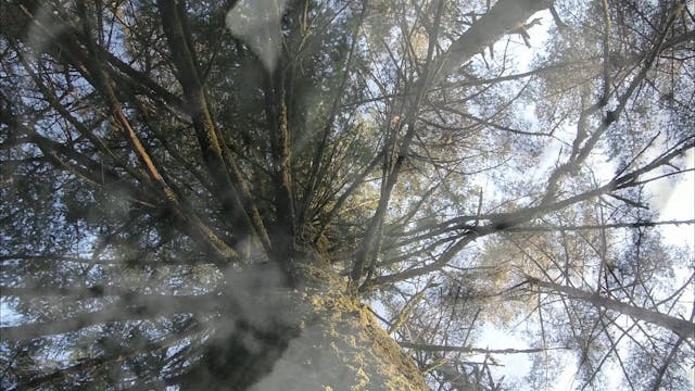 POPOLI - ANAMAURIZIO_H264