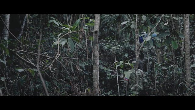 RIFF - Niebla_de_la_paz_SubITA