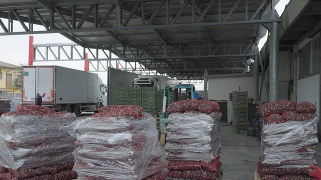 BIOGRAFILM 2022 - FORTUNA GRANDA - MYMOVIES