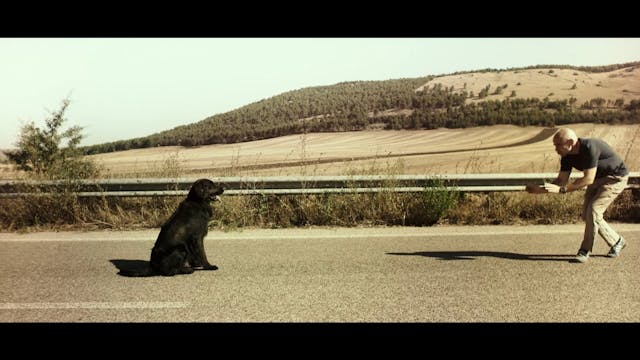 MYRELOAD - Elisa Rossetto - EGO - Lorenza Indovina