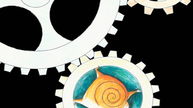 Sguardi Altrove Film - ESSERE CURDO_curdo 20 51 v11e3 ita_sub ZULIANI