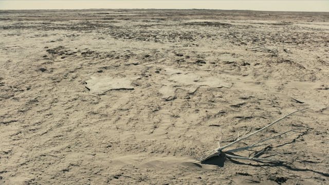 COMPAGNIA - Watermark_SUB ITA_FTR_108024