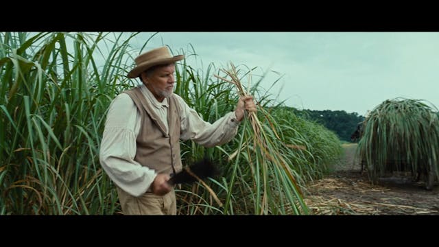 GEDIFILM - 12 Anni Schiavo