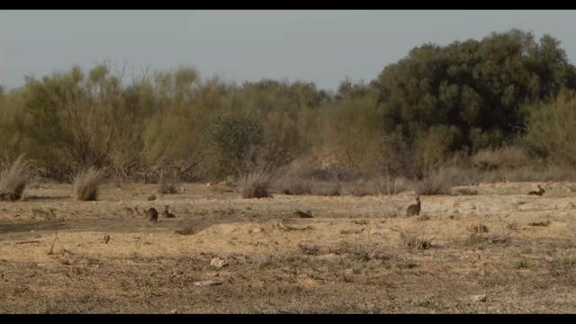 VENTOTENE 2022 - 7. Extremadura-a natural paradise in europe Arianna
