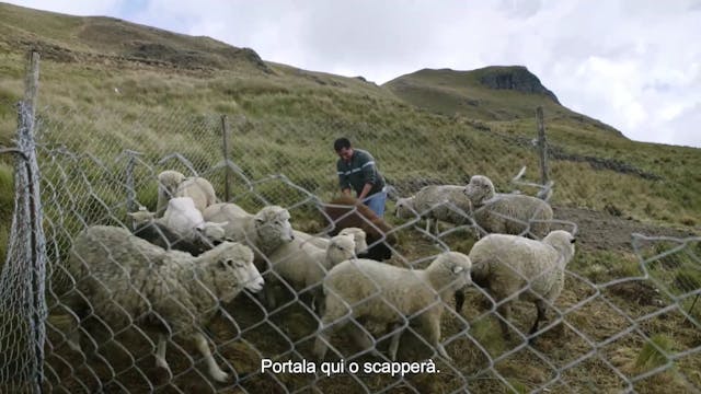 piucompagnia - MAXIMA_SUB_ITA_FTR_1080p