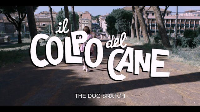 Il colpo del cane