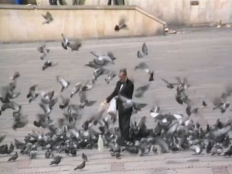 POPOLI - Bicentenario