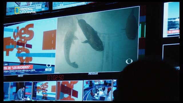 SARDEGNA - Sea of Shadows