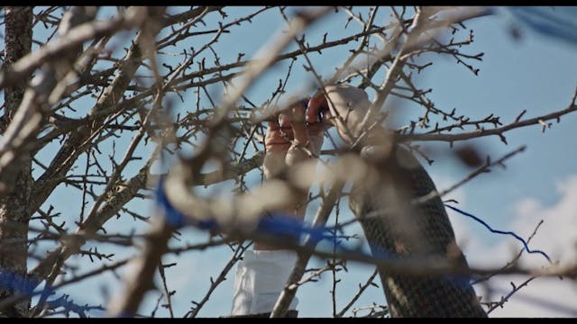 VISIONI ITALIANE - Visioni Italiane - Programma2