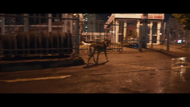 ISREAL - SPACE DOGS_Clean_HD_H264