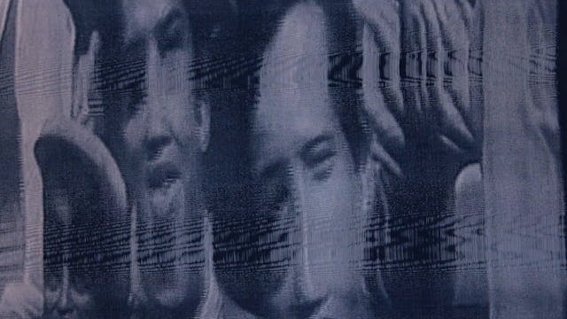 TERRE DA FESTIVAL - ¡Que viva