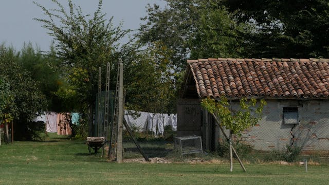 FONDAZIONE BIZZARRI - Francesca Romana Vagnoni - CENTOVENTIcontroNOVECENTO
