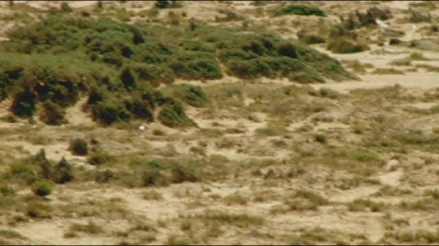 MIOCINEMA - MARE CHIUSO