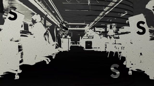 TSFF - ACCIDENTAL LUXURIANCE_(SLUČAJNA RASKOŠ PROZIRNOG VODENOG REBUSA)_DEF