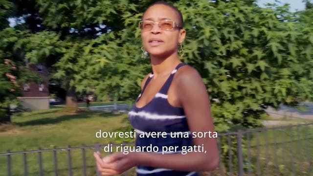 SOTTO18 - The Cat Rescuers_FIlm