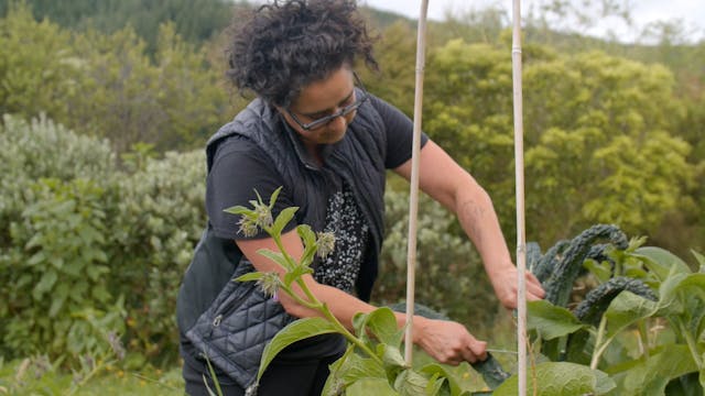 Sguardi Altrove Film - Hua-Parakore-1080p