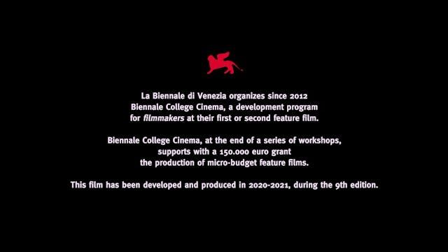 VENEZIA 78 biennale - The Cathedral