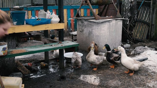 ISREAL - INVISIBLE_PARADISE