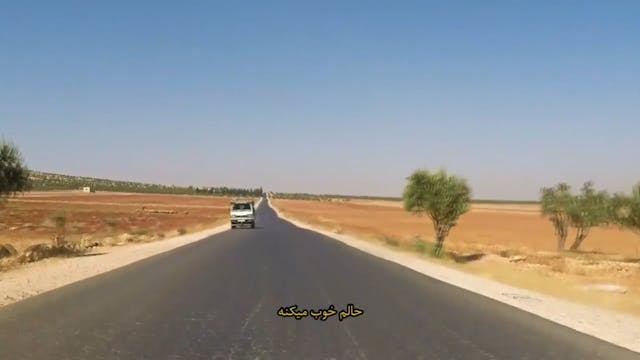 SHORTS 2021 - Simulation Of Mr. Yellow Documentary