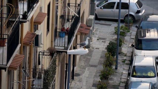 FILMMAKER - Restate a casa