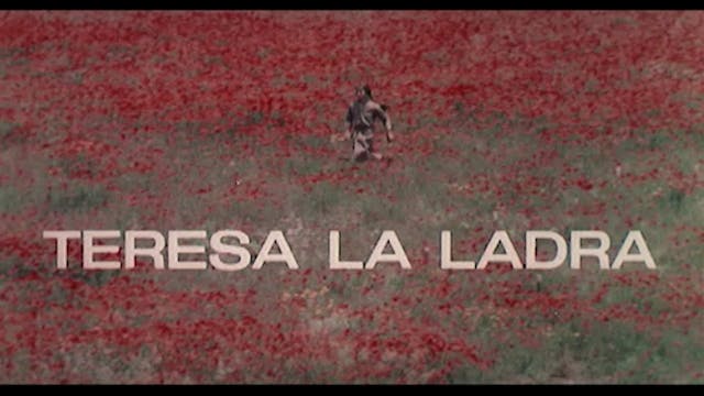 Distretto Cinema - Teresa_la_ladra