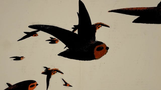 future 2021 - 5- The Chimney Swift