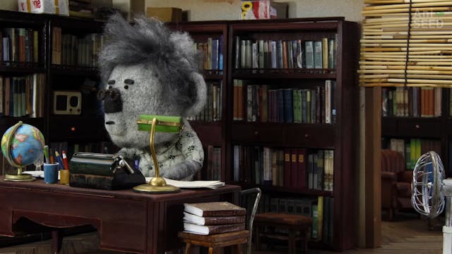 SHORTS - Saturday's Apartment - marem...