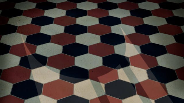 Sguardi Altrove 2021 - we are not alone (SAMMUTADORI)_MASTER_VIMEO_210519