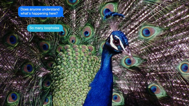 SCHERMO DELL'ARTE - New Acid